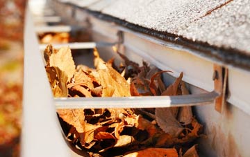 Stannersburn gutter cleaning companies